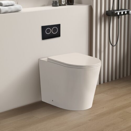 Avis Wall Faced Floor Rimless Flush Pan