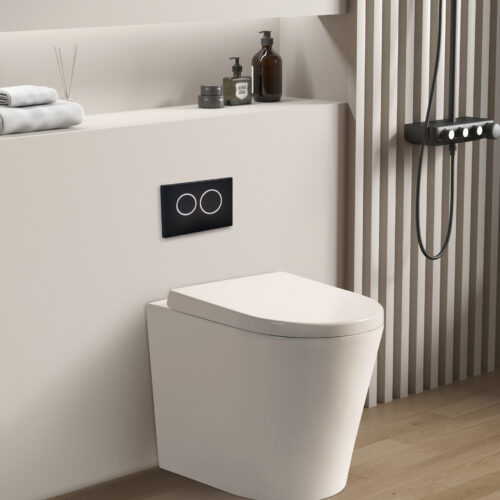 Avery Wall Faced Floor Box Rim Flush Pan
