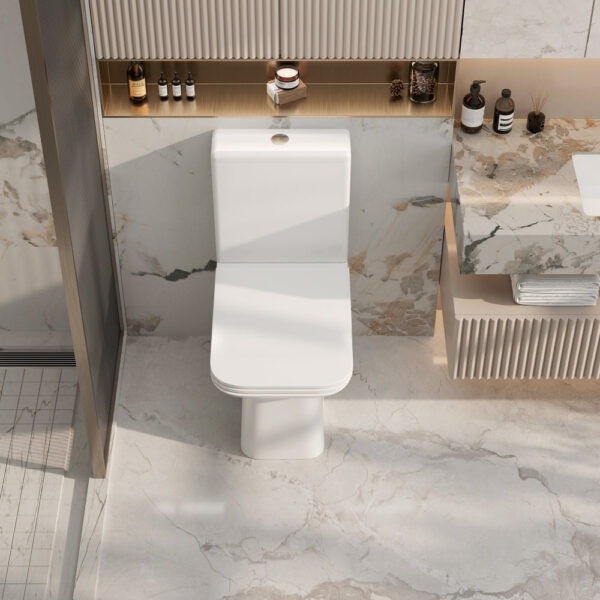 Aria Back-to-Wall Toilet Suite - Image 3