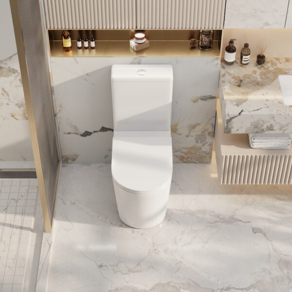 Pani Back-to-Wall Toilet Suite - Image 3