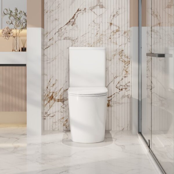 Pani Back-to-Wall Toilet Suite - Image 2
