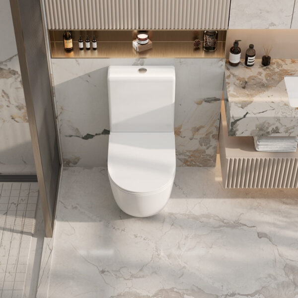 Cera Back-to-Wall Toilet Suite - Image 3