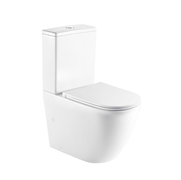Norton Back-to-Wall Toilet Suite - Image 4