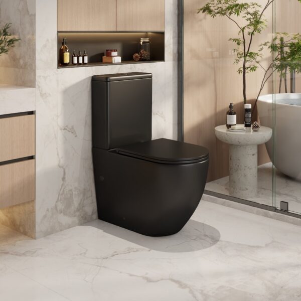 Norton Back-to-Wall Toilet Suite - Image 5