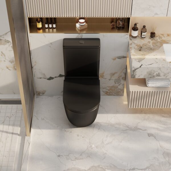 Norton Back-to-Wall Toilet Suite - Image 7
