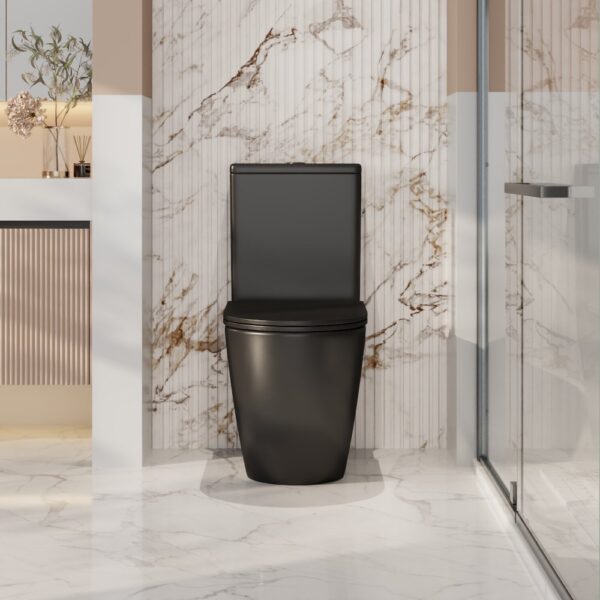 Norton Back-to-Wall Toilet Suite - Image 6