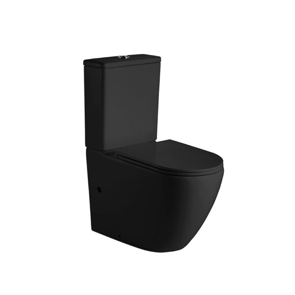 Hani Back-To-Wall Toilet Suite - Image 5