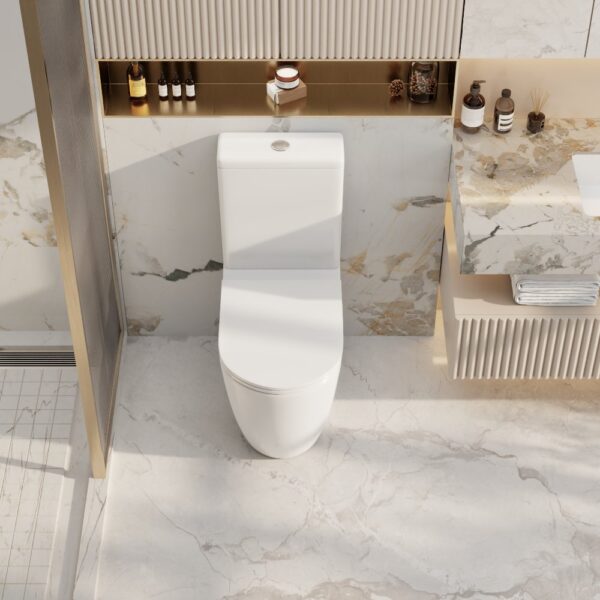 Norton Back-to-Wall Toilet Suite - Image 3