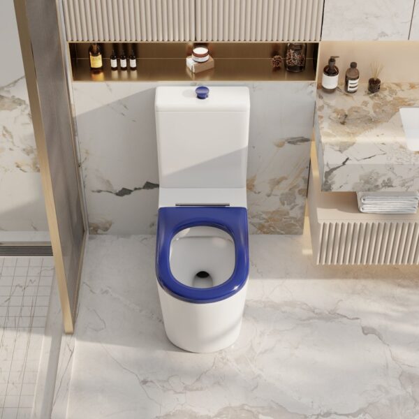 Pani Care-Accessible Back-to-Wall Toilet - Image 3