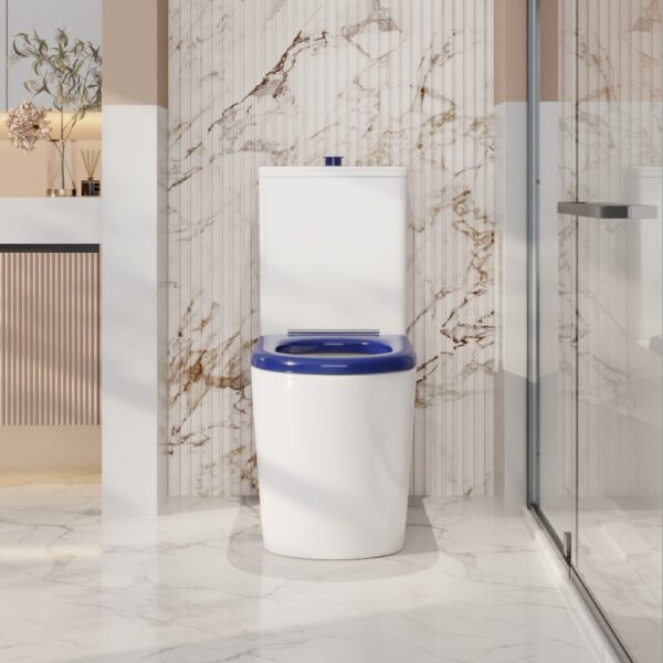 Pani Care-Accessible Back-to-Wall Toilet - Image 2