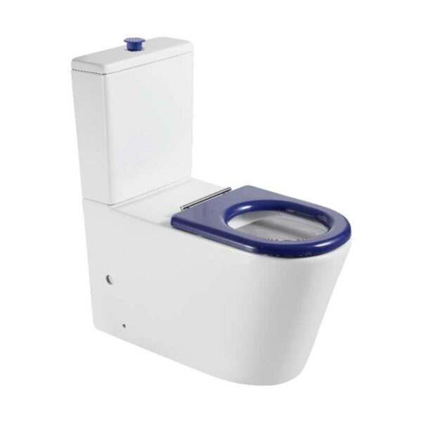 Pani Care-Accessible Back-to-Wall Toilet - Image 4