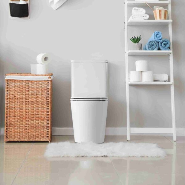 Pani Back-to-Wall Toilet Suite - Image 4