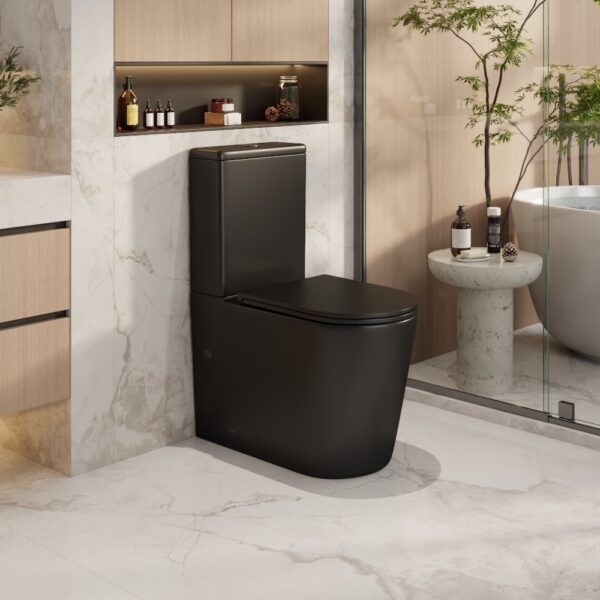 Berlin Back-to-Wall Toilet Suite - Image 4