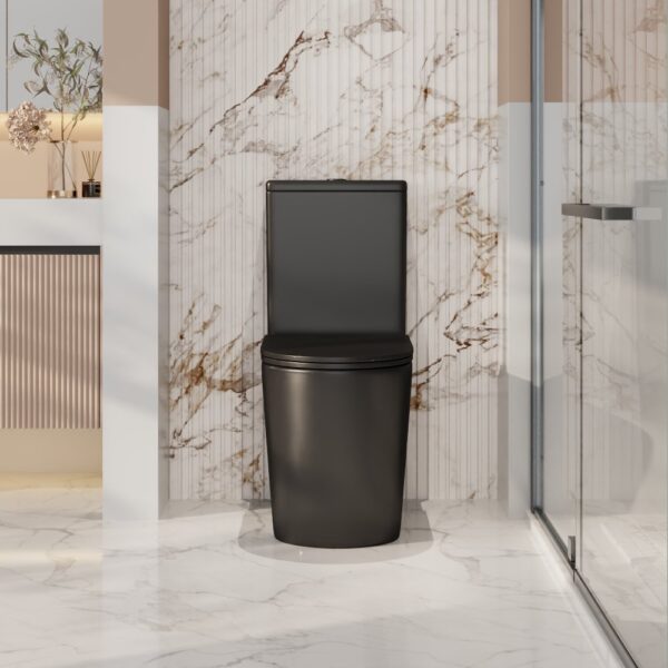Berlin Back-to-Wall Toilet Suite - Image 5