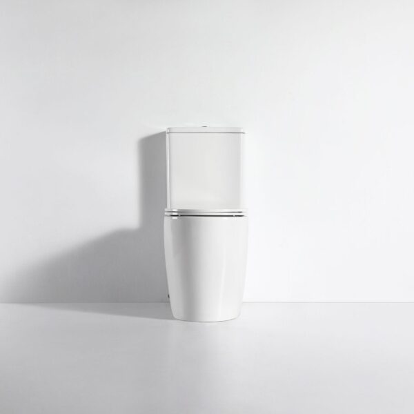 Walton Back-to-Wall Toilet Suite - Image 4