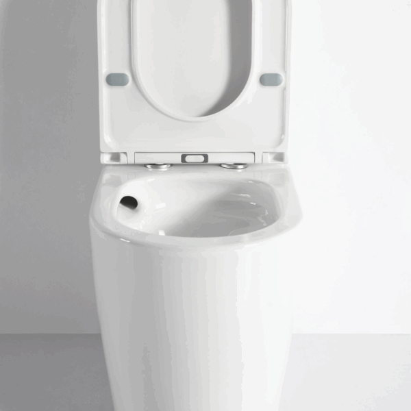 Walton Back-to-Wall Toilet Suite - Image 7
