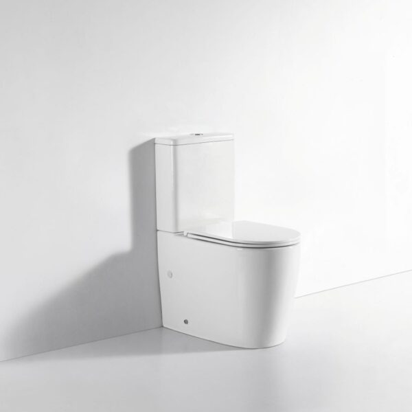 Walton Back-to-Wall Toilet Suite - Image 8