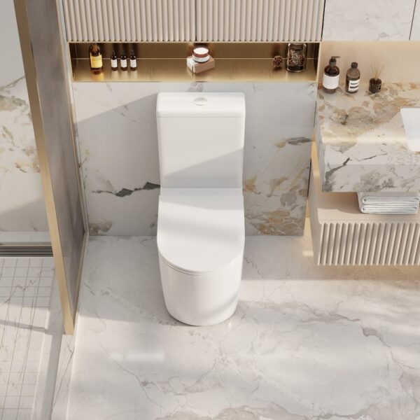 Walton Back-to-Wall Toilet Suite - Image 3