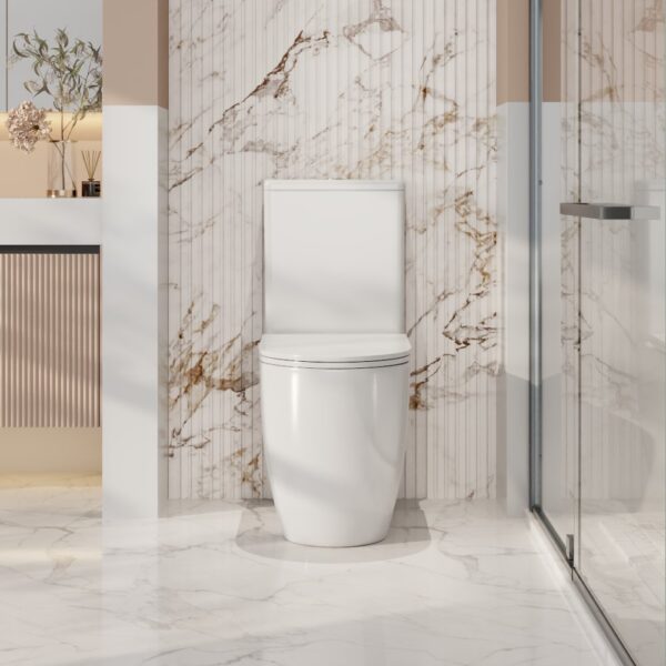 Walton Back-to-Wall Toilet Suite - Image 2