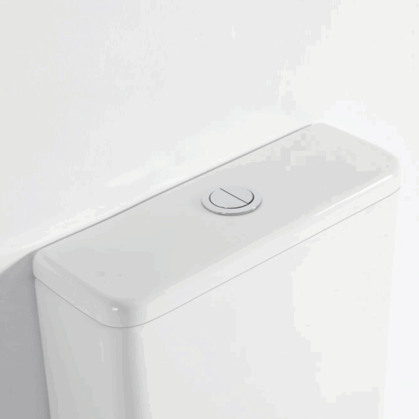 Walton Back-to-Wall Toilet Suite - Image 6