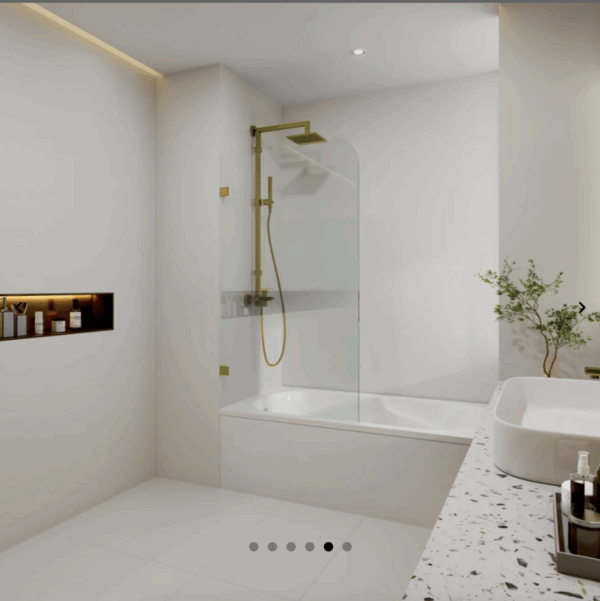 Fixed Bathtub Screen - Image 5