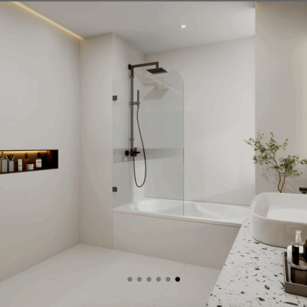Fixed Bathtub Screen - Image 6