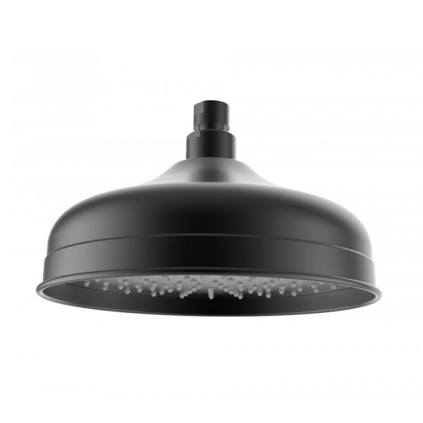 Clasico Shower Head - Image 3